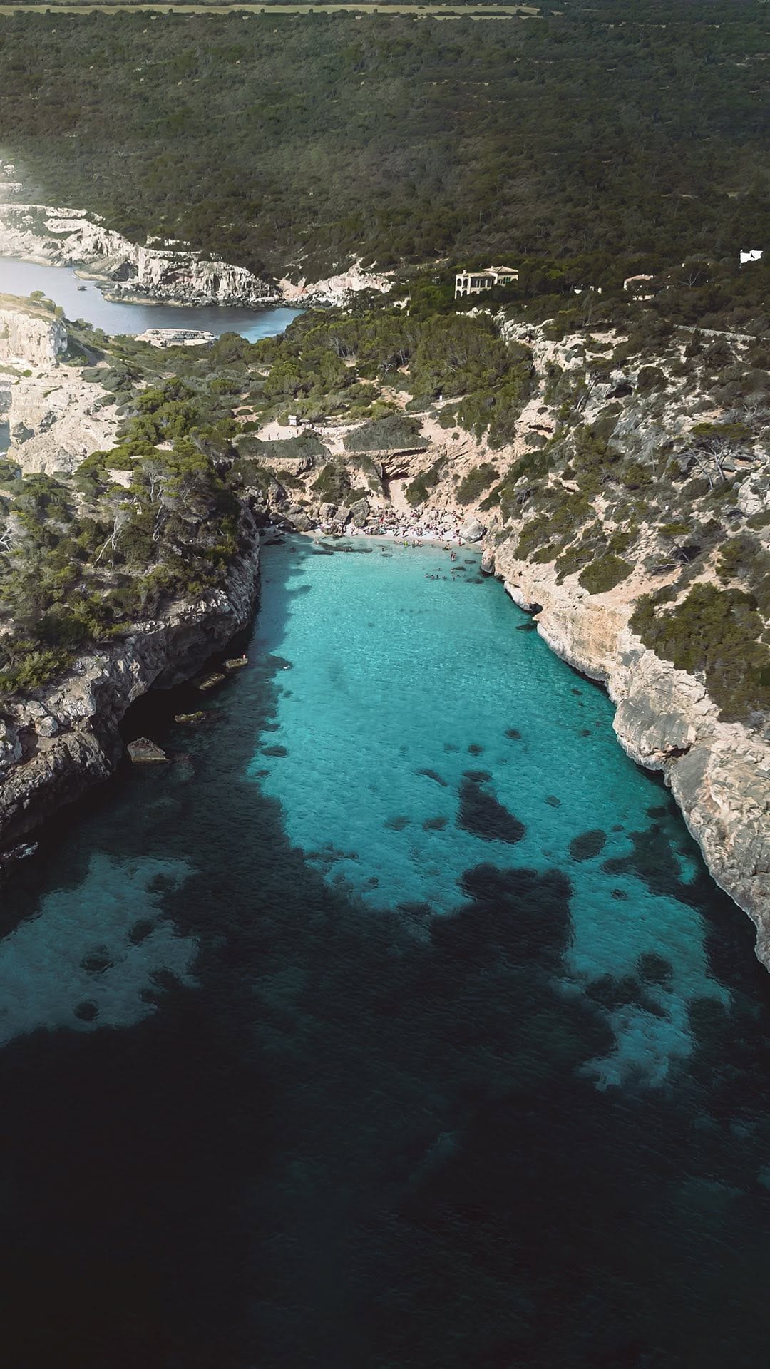 Post 8 by David Merizalde on Instagram (video)