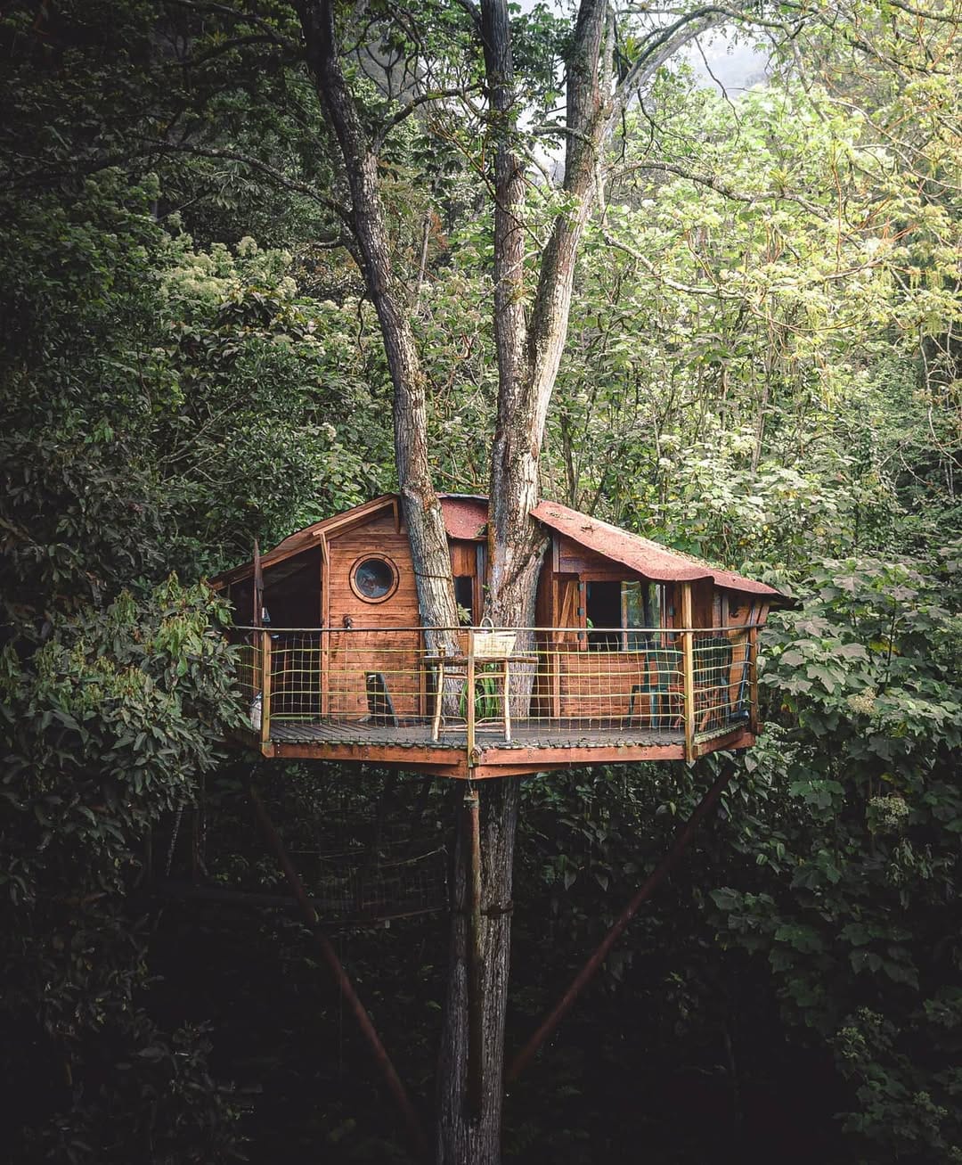 Post 9 by David Merizalde on Instagram (image)
