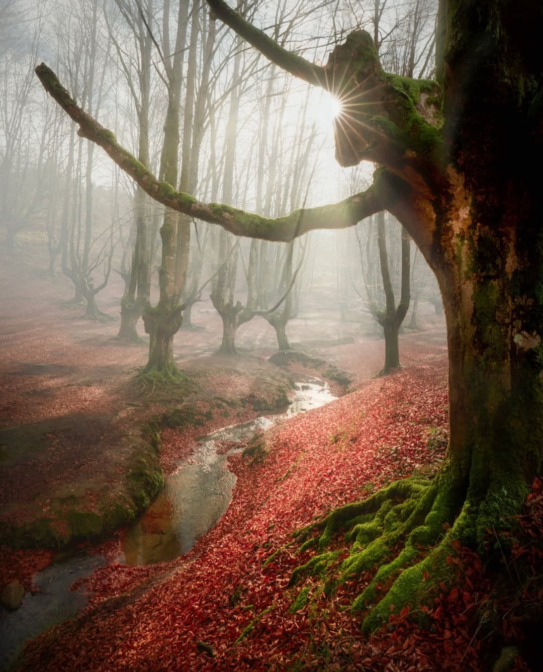 Post 1 by Miguel Morenatti on Instagram (image)