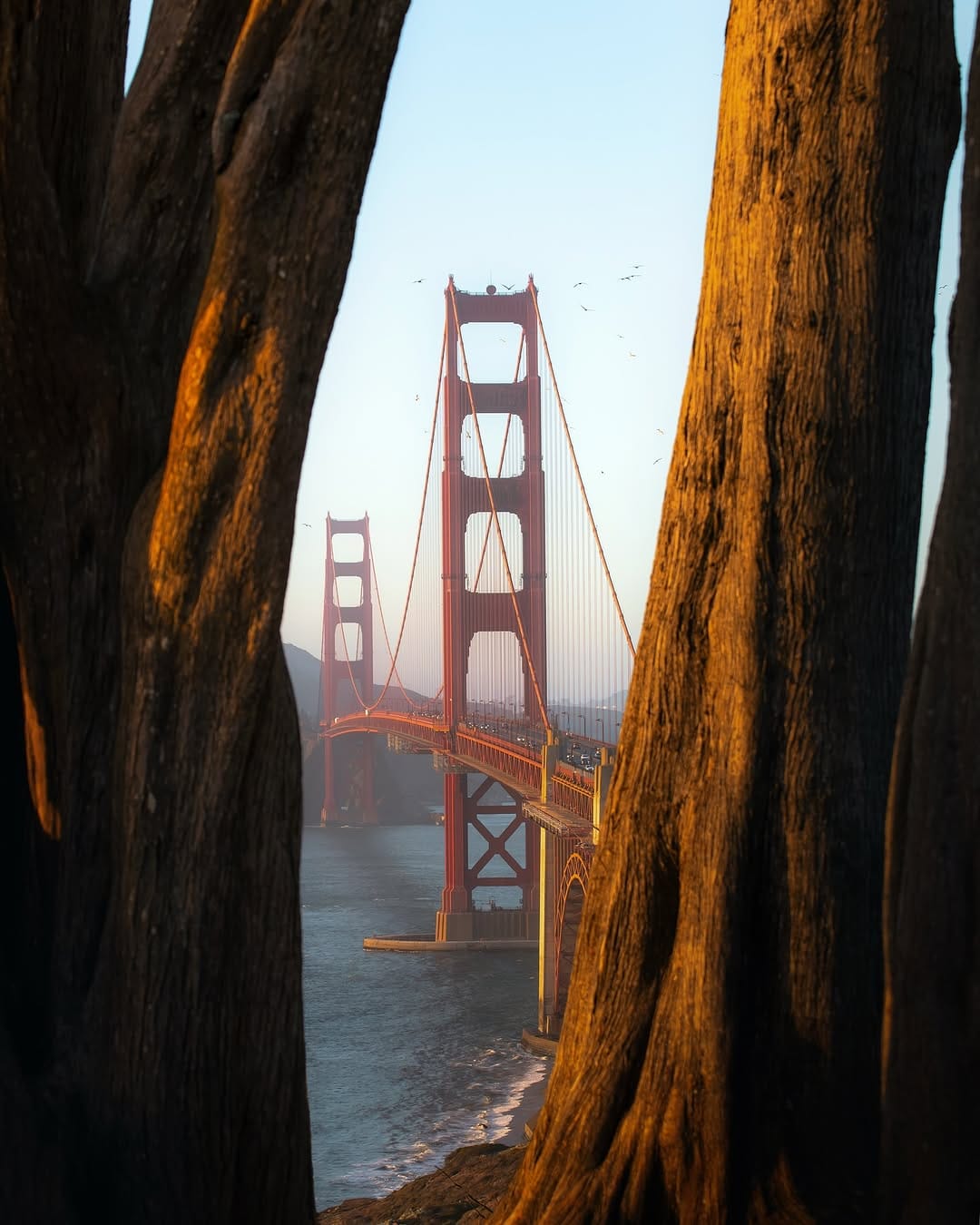 Post 9 by ᴍᴀʀɪɴᴀ & ᴀʟʙᴇʀᴛᴏ on Instagram (image)