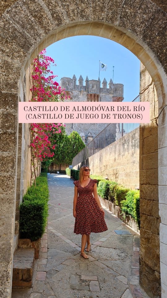 Post 9 by Ana Rivera on Instagram (video)