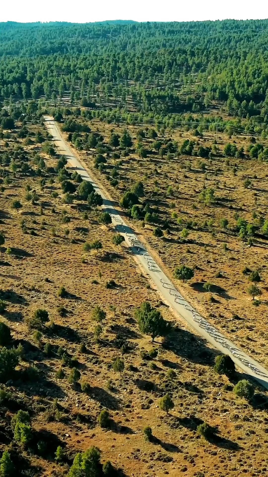 Post 4 by Jesús Herrada López on Instagram (video)