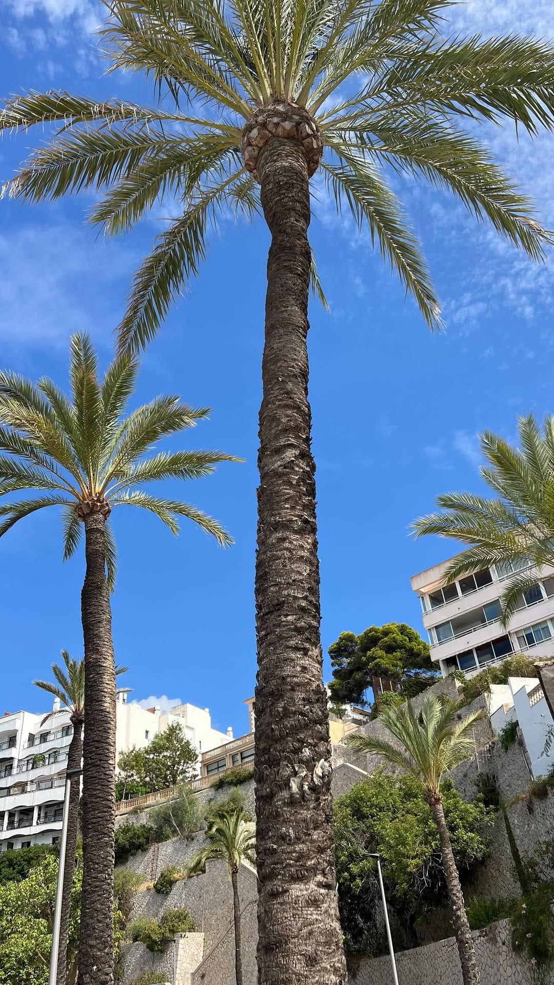 Post 3 by Eileen Fletcher on Instagram (video)