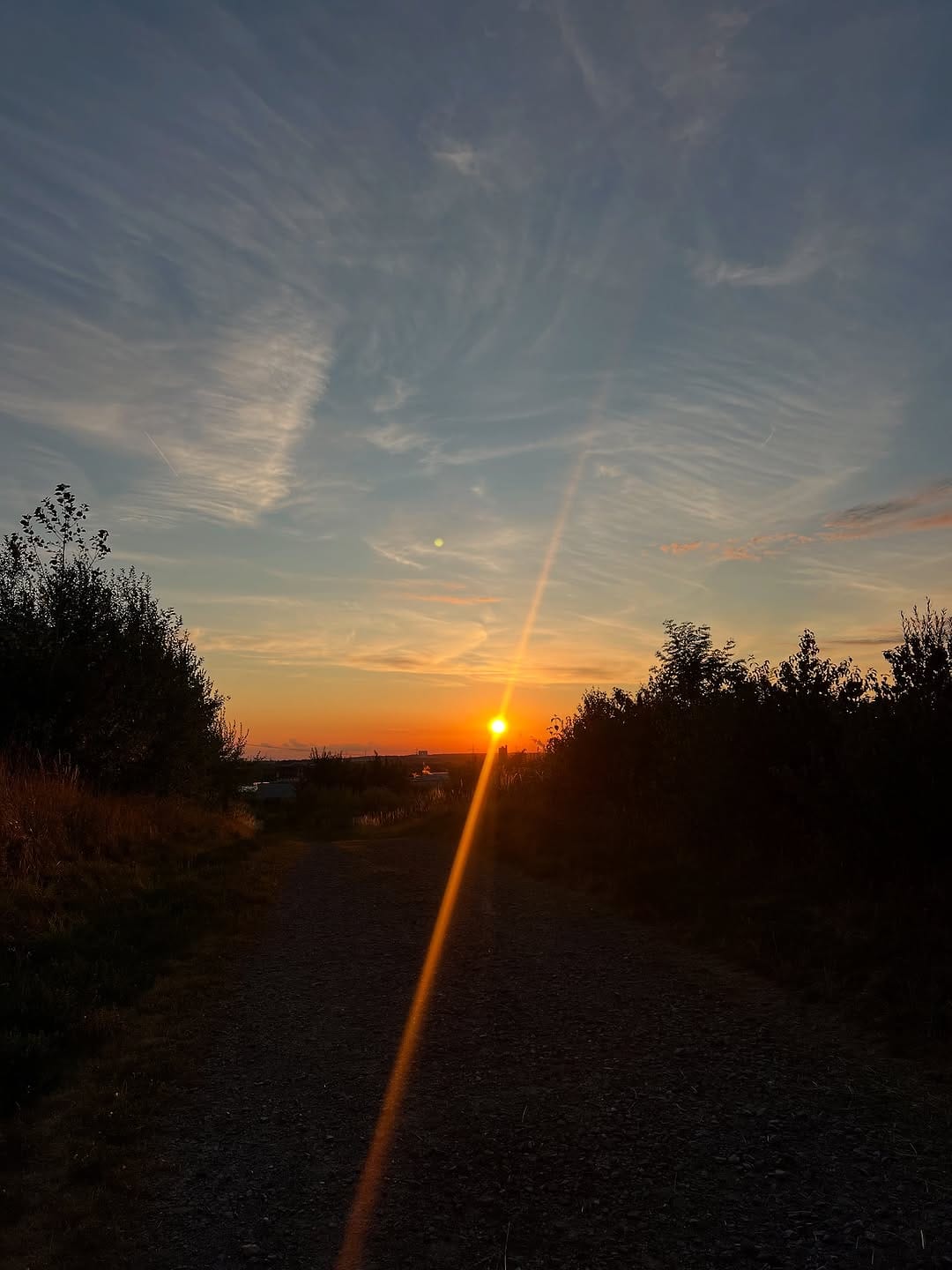 Post 8 by Eileen Fletcher on Instagram (image)