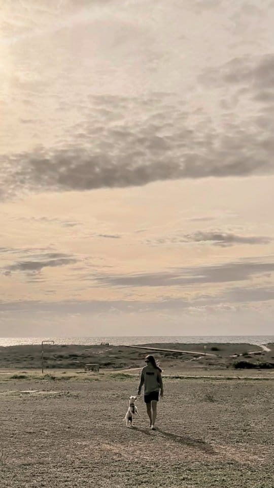 Post 7 by Paula & Pipo 🐺 on Instagram (video)