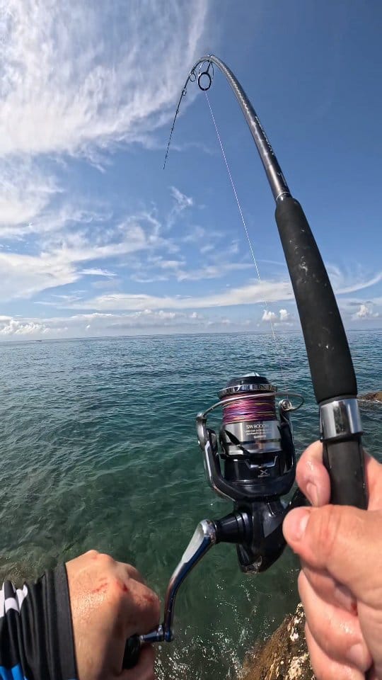 Post 2 by Javi Zarza Angler on Instagram (video)