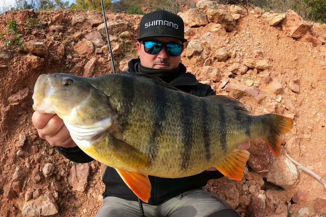 Post 8 by Javi Zarza Angler on Instagram (carousel)