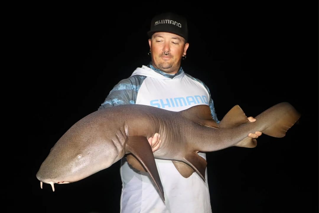 Post 4 by Javi Zarza Angler on Instagram (carousel)