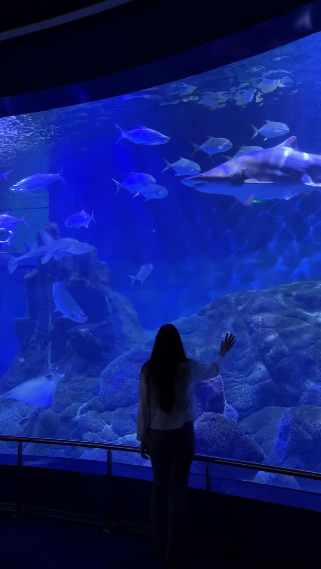 Post 2 by Chloé Léger | Travel&Spain on Instagram (video)