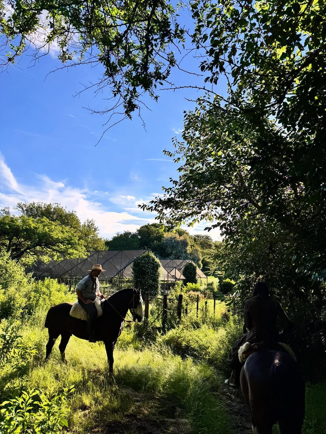 Post 5 by Paloma Delich on Instagram (carousel)