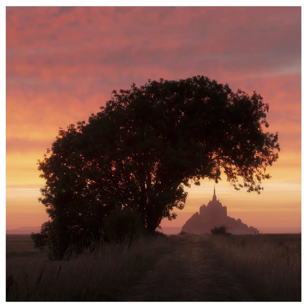 Post 5 by David Caballero on Instagram (image)