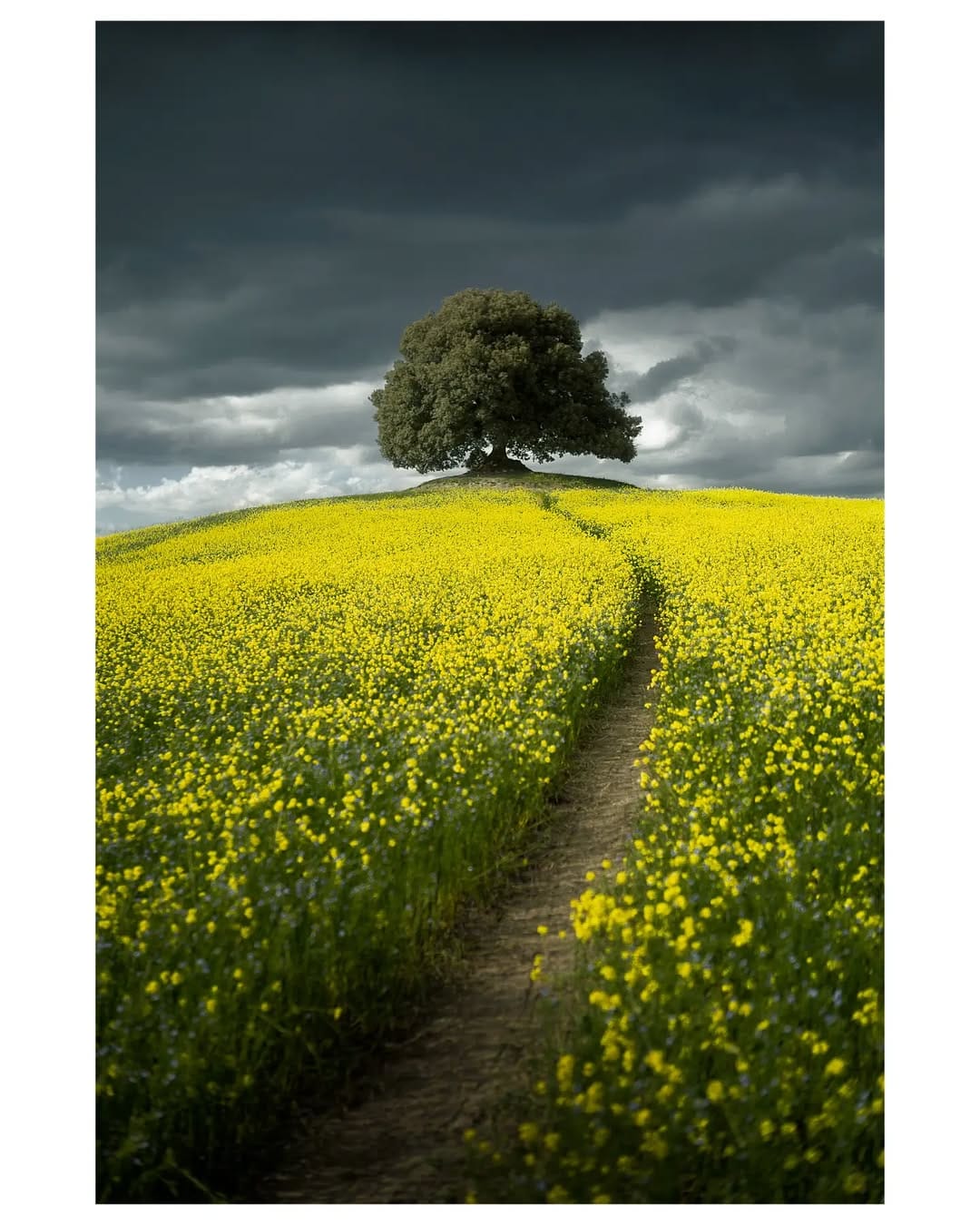 Post 6 by David Caballero on Instagram (image)