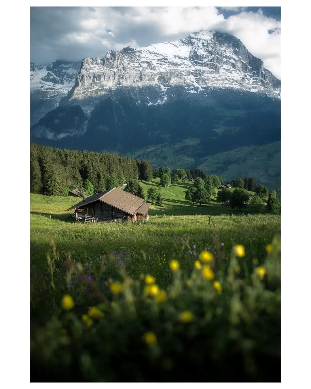 Post 4 by David Caballero on Instagram (image)
