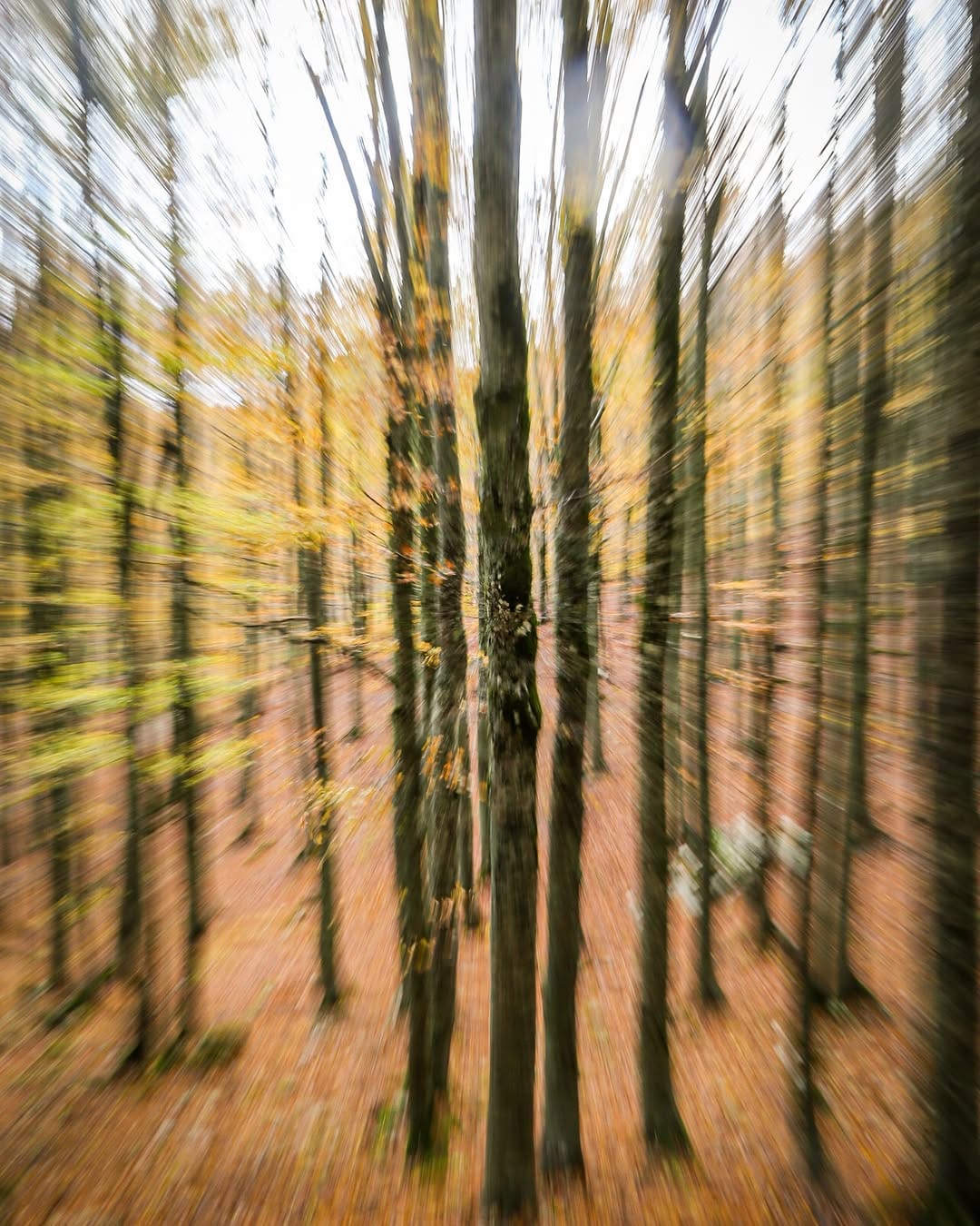 Post 3 by Domenico Di Camillo on Instagram (image)