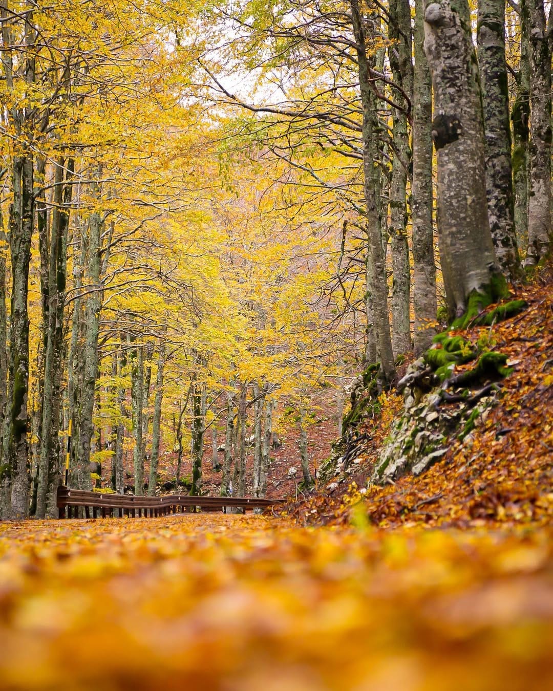 Post 7 by Domenico Di Camillo on Instagram (image)