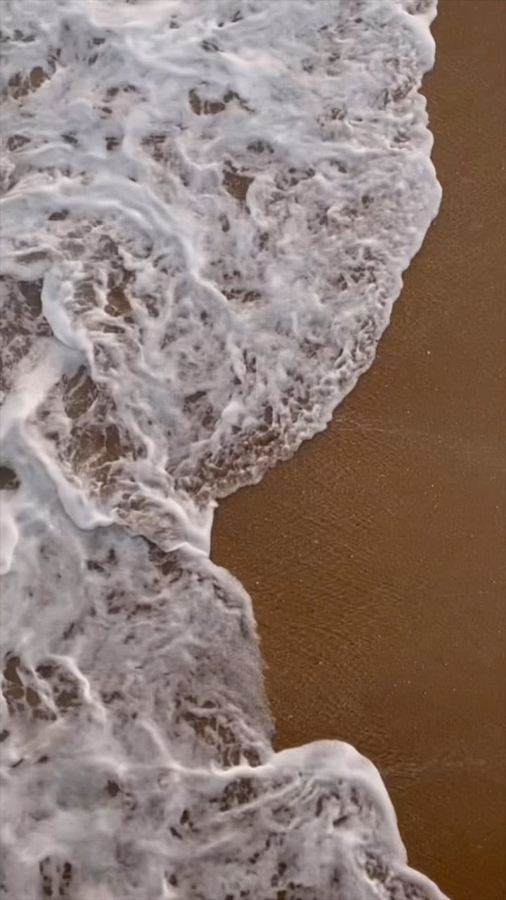 Post 7 by Sara Castaneda on Instagram (video)