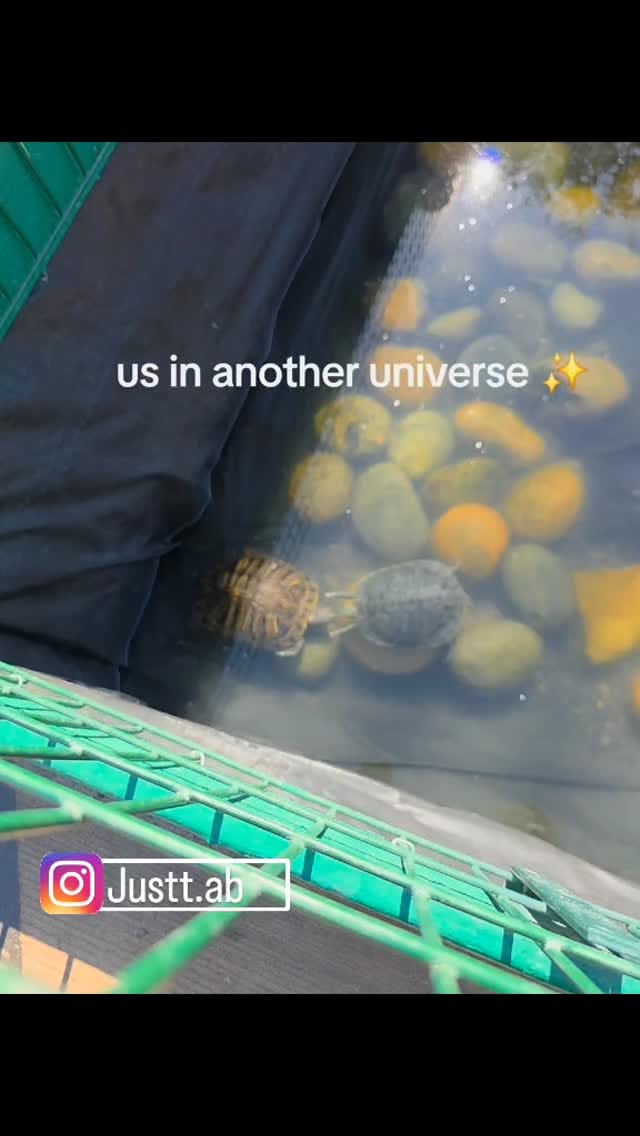 Post 1 by justt.ab 👑🦁 on Instagram (video)