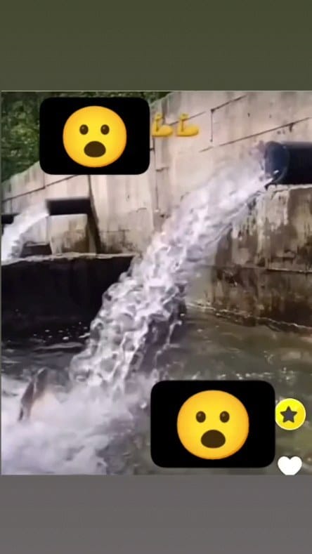 Post 9 by justt.ab 👑🦁 on Instagram (video)