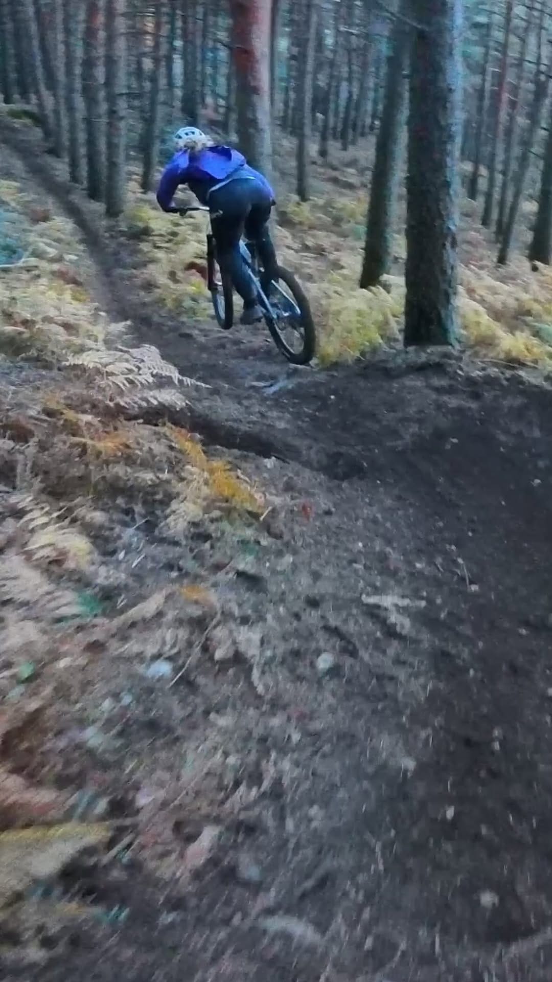 Post 4 by Ella Conolly on Instagram (video)