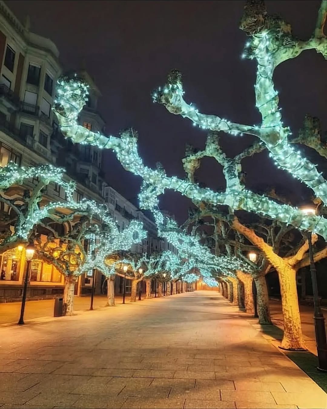 Post 5 by Marta Espinosa on Instagram (image)