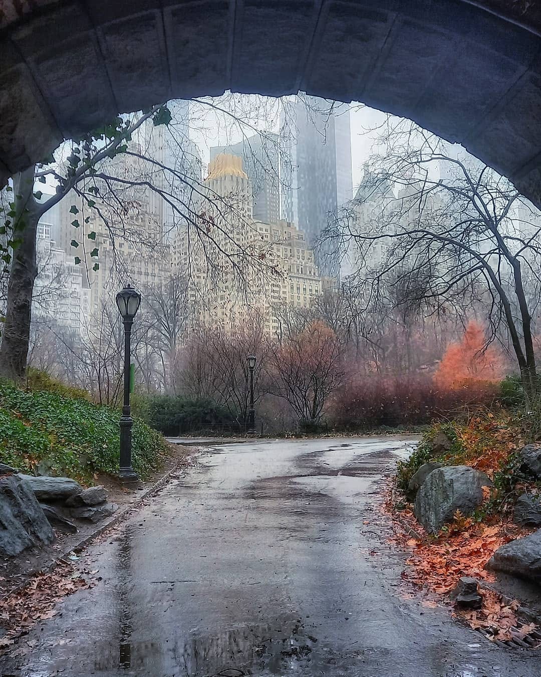 Post 10 by Marta Espinosa on Instagram (image)