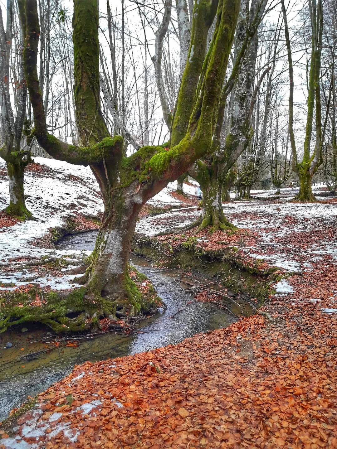 Post 2 by Marta Espinosa on Instagram (image)