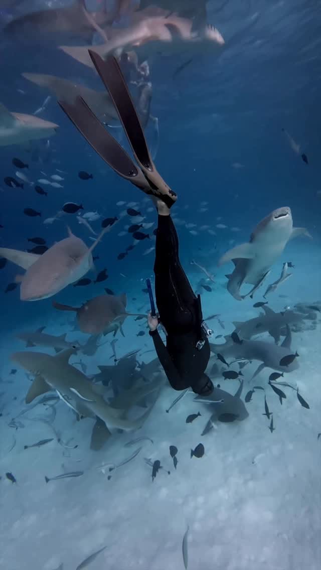 Post 5 by Miguel Lozano on Instagram (video)
