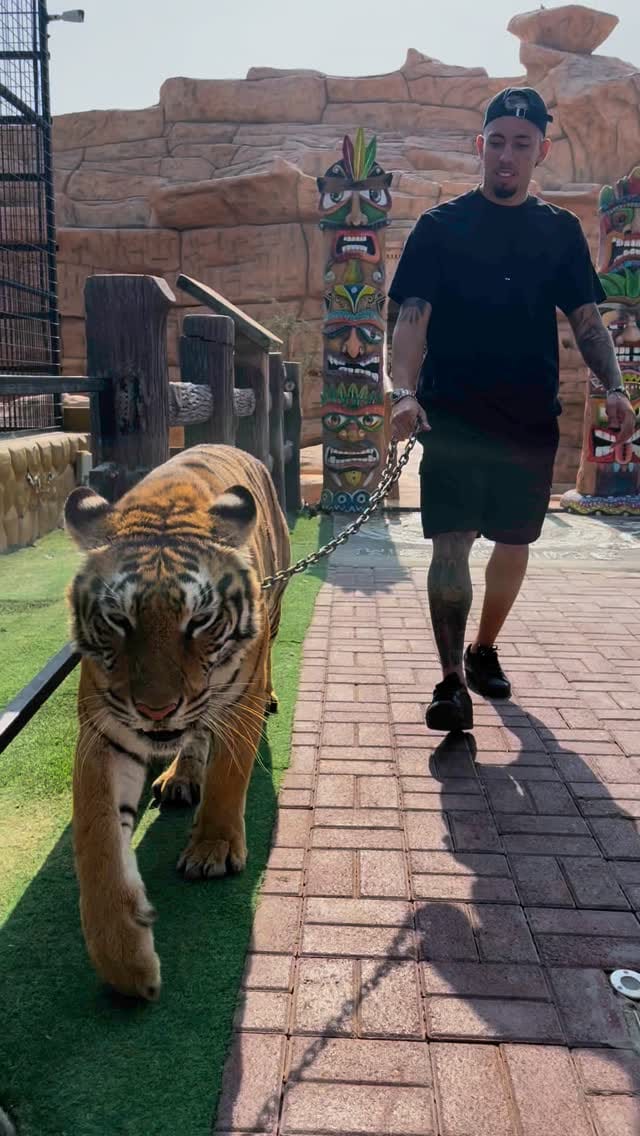 Post 10 by Guilherme Silva on Instagram (video)