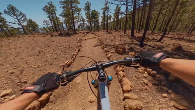Post 2 by David Andreev on Instagram (video)