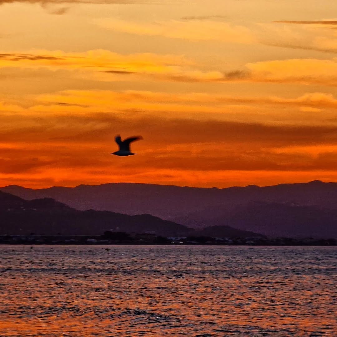 Post 1 by Rodolfo Clari Clari on Instagram (image)