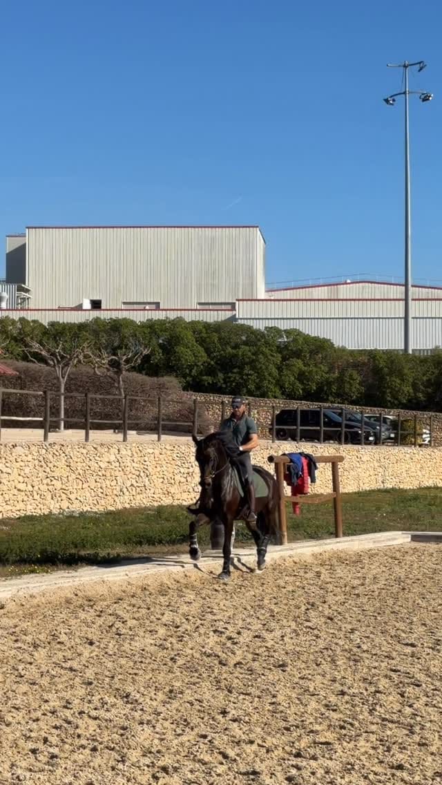 Post 1 by Domingo SportHorses on Instagram (video)