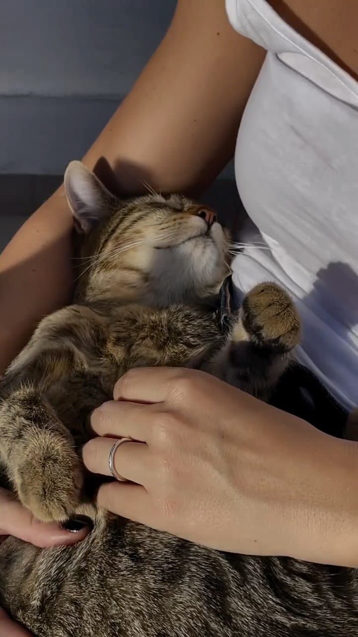 Post 9 by Patricia Carreño - on Instagram (video)