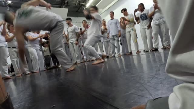 Post 4 by Professor Saracuru on Instagram (video)