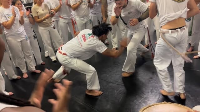 Post 6 by Professor Saracuru on Instagram (video)
