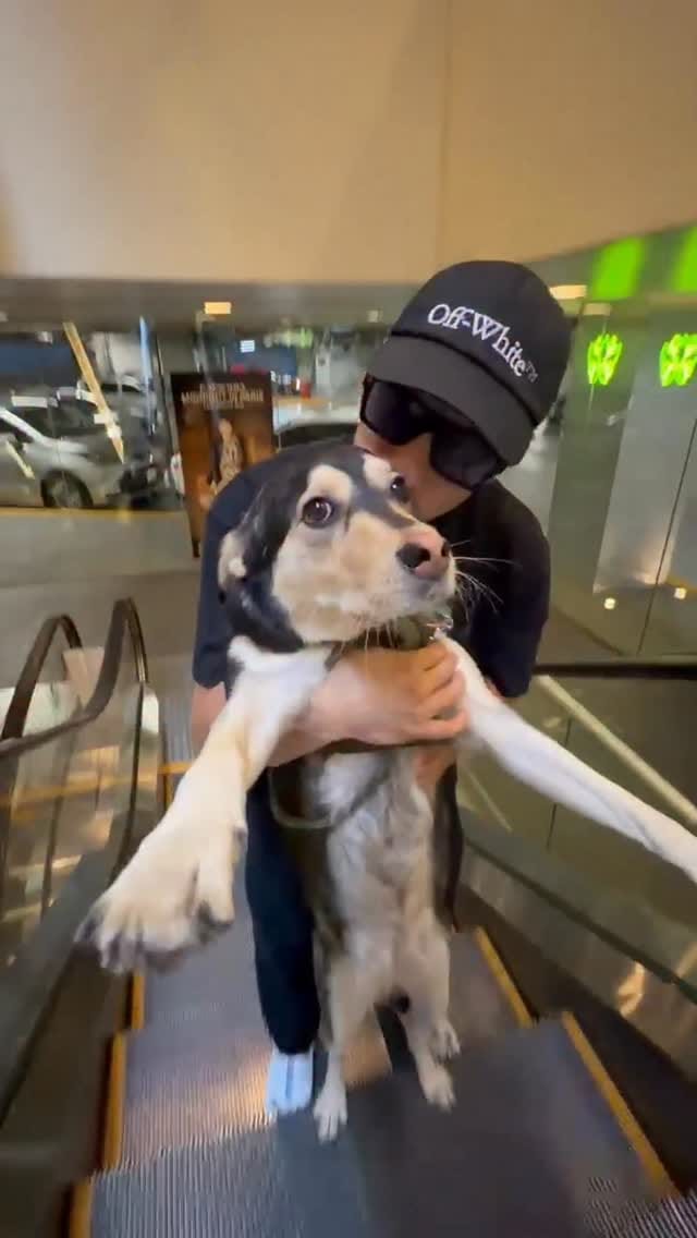 Post 10 by Jonathan Paredes on Instagram (video)
