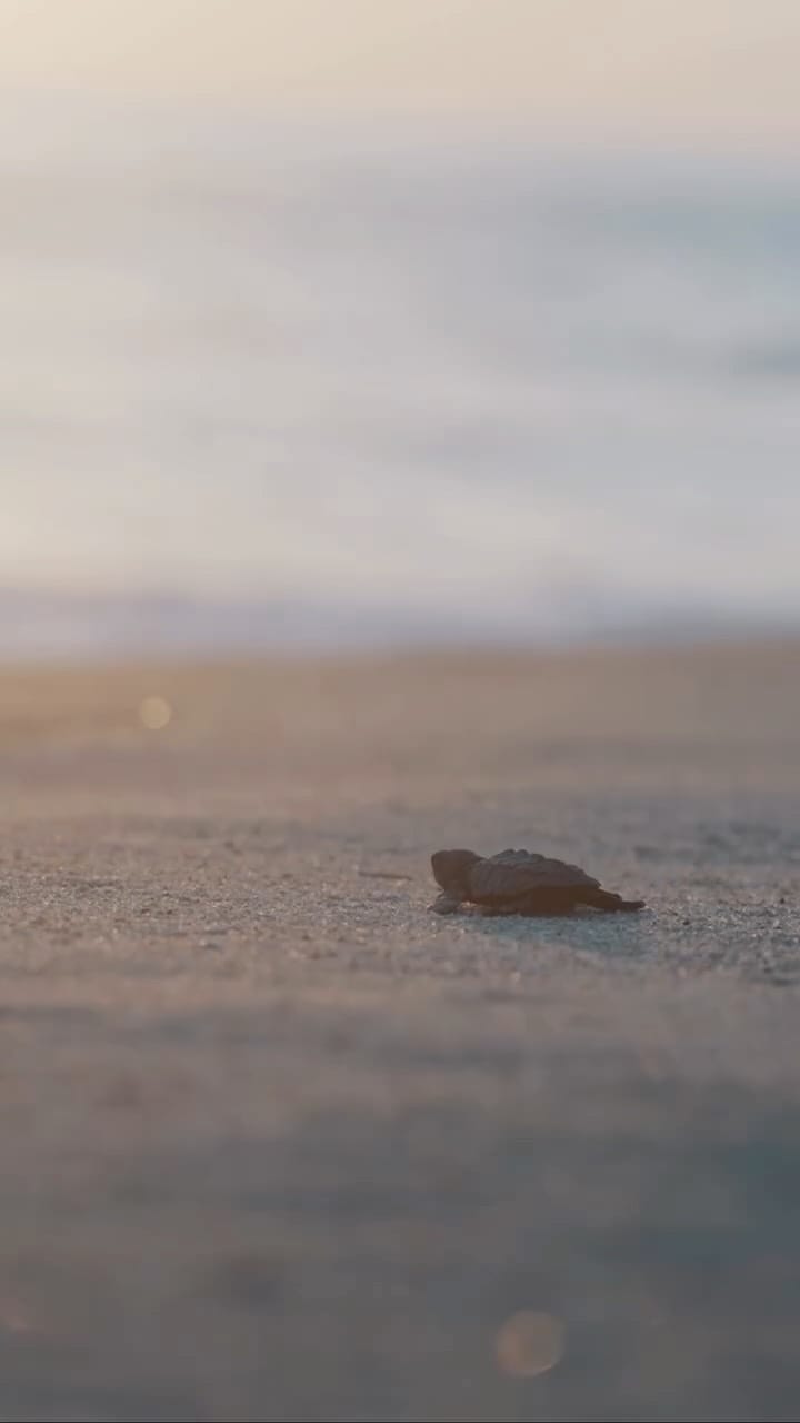 Post 4 by María Aguado | Yoga on Instagram (video)
