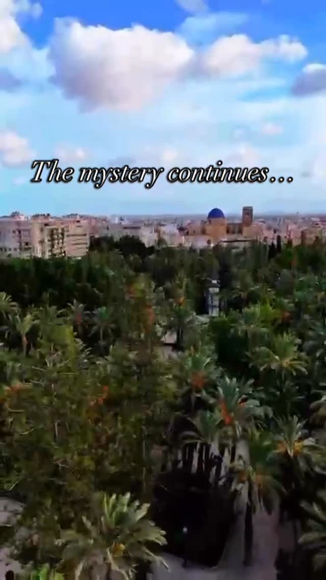Post 10 by Lena Tancredi on Instagram (video)