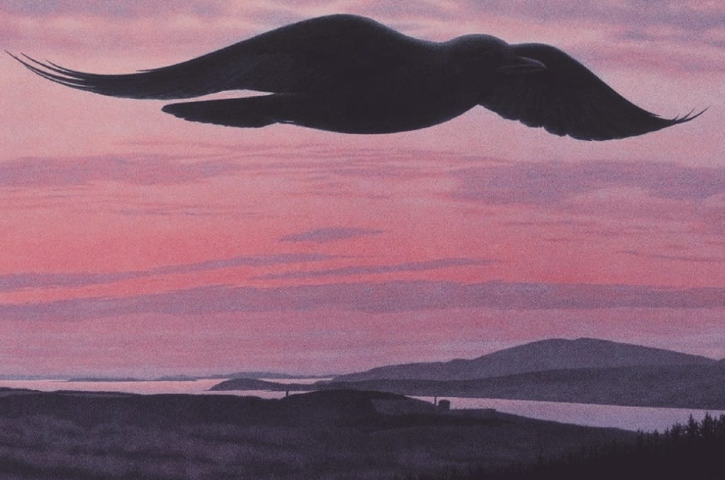 Post 9 by Sophie Peterson on Instagram (image)