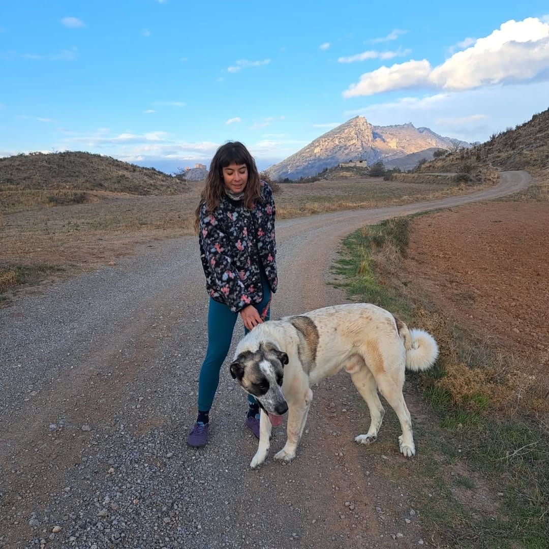 Post 3 by Sheyla Gutiérrez Ruiz on Instagram (carousel)