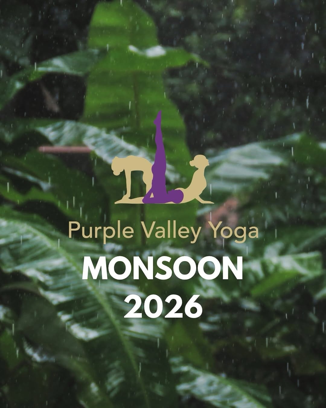 Post 5 by Purple Valley Yoga Centre on Instagram (carousel)