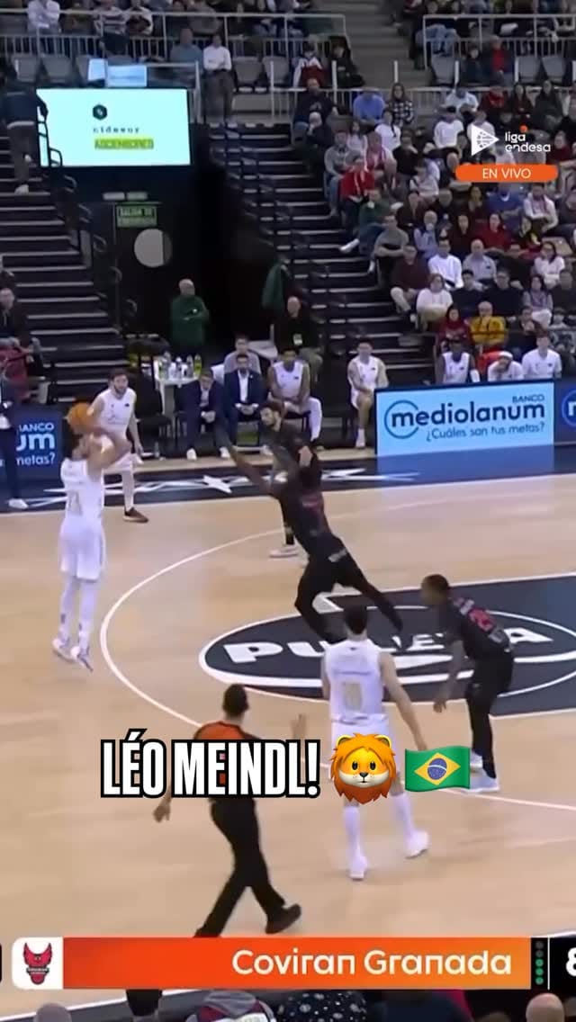 Post 1 by Leonardo Meindl 🦁 on Instagram (video)