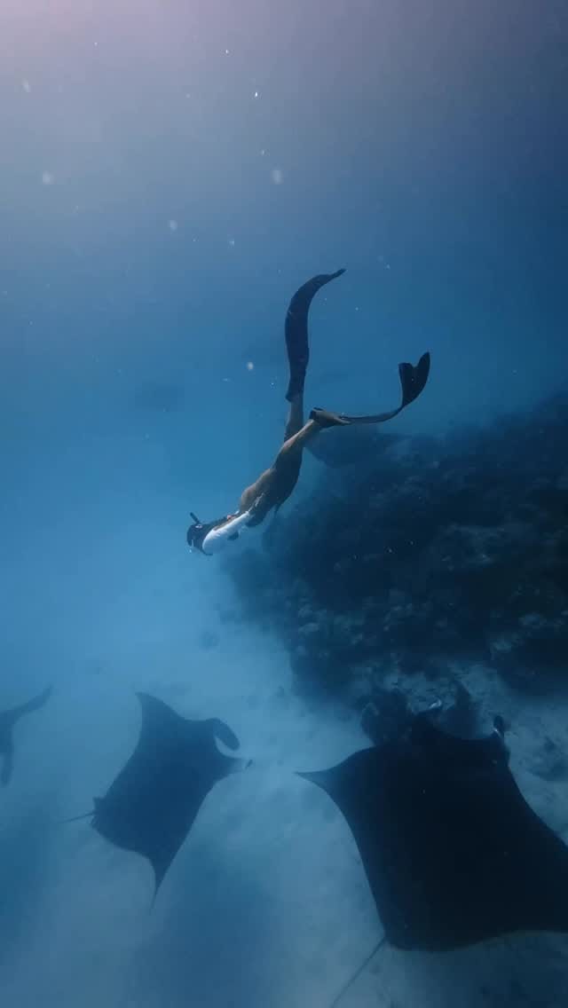 Post 2 by Elisabet Merino on Instagram (video)