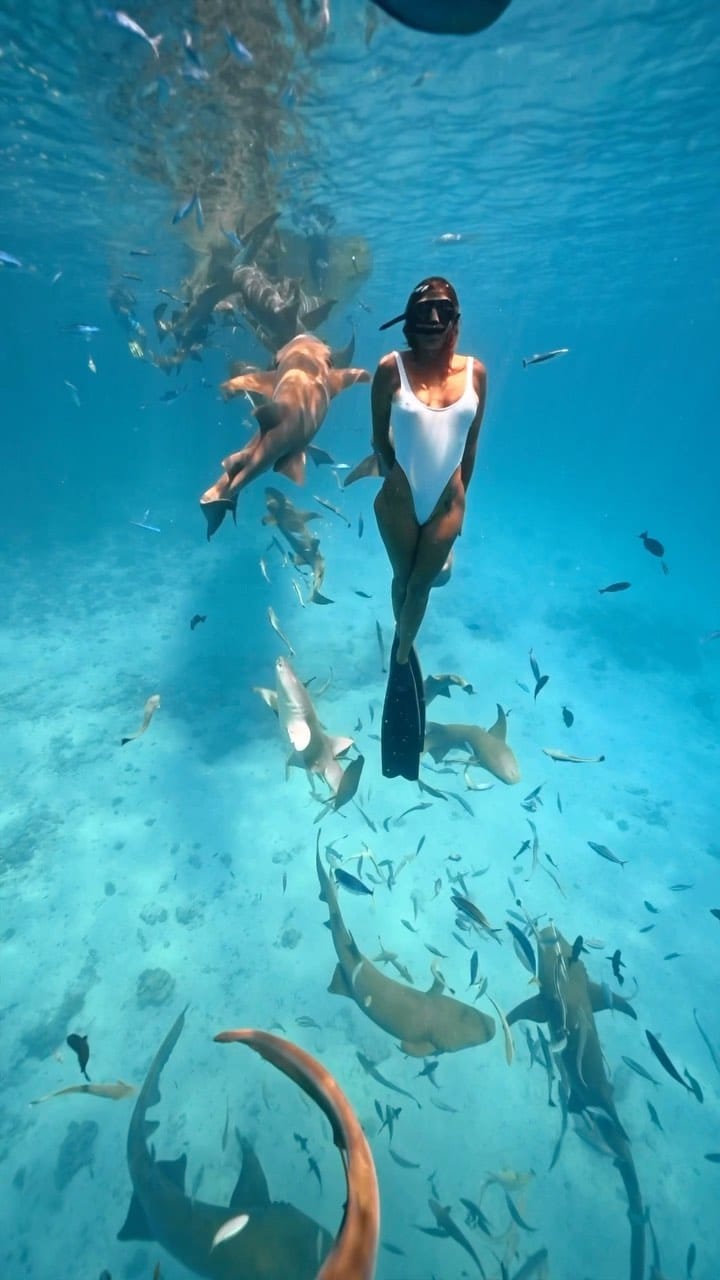 Post 10 by Elisabet Merino on Instagram (video)