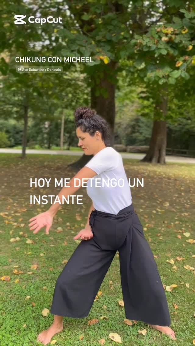 Post 7 by Profesora Chikung Presencial + Online / Masaje Shiatsu / Micheel on Instagram (video)