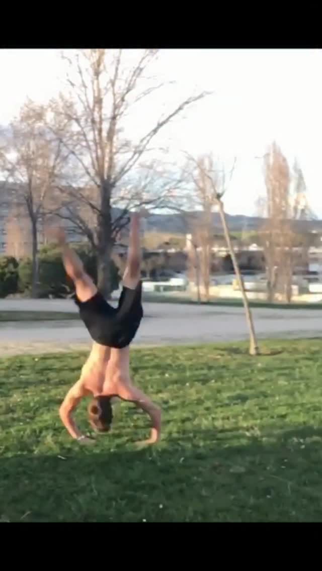 Post 3 by Shifer on Instagram (video)