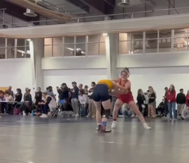 Post 5 by Sophie "The Dog" Sharp on Instagram (video)