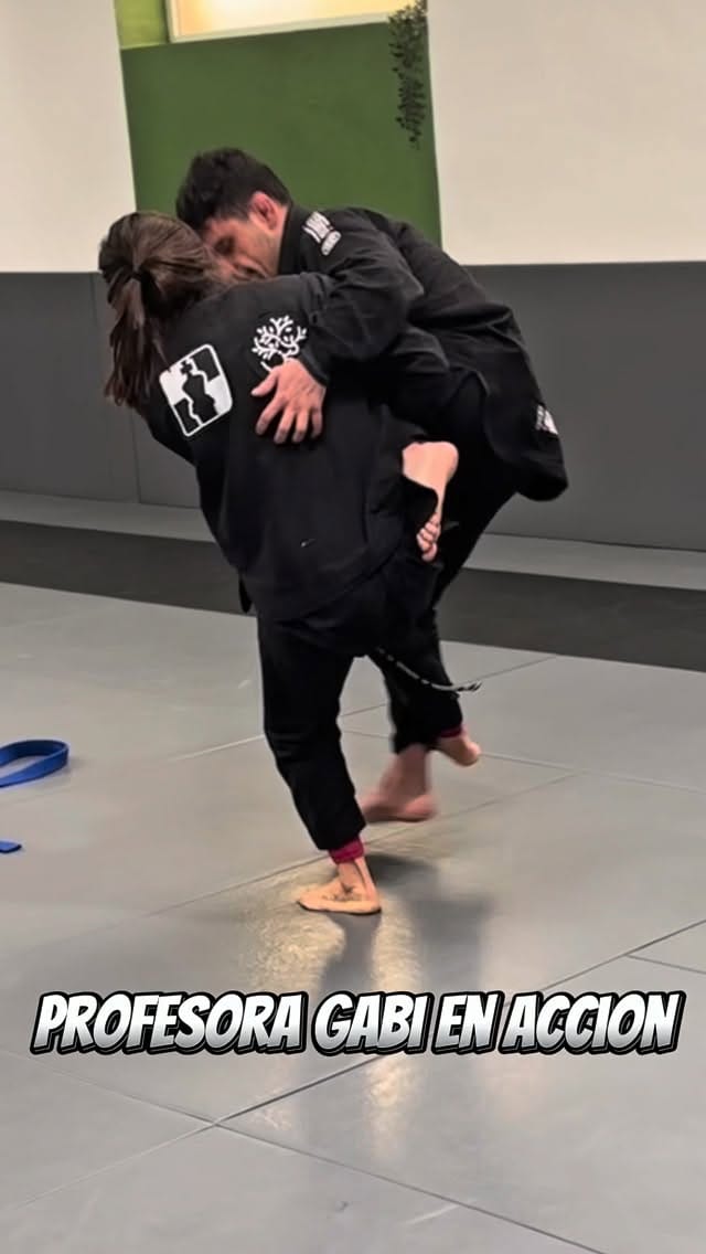 Post 5 by Gabriela Fechter on Instagram (video)