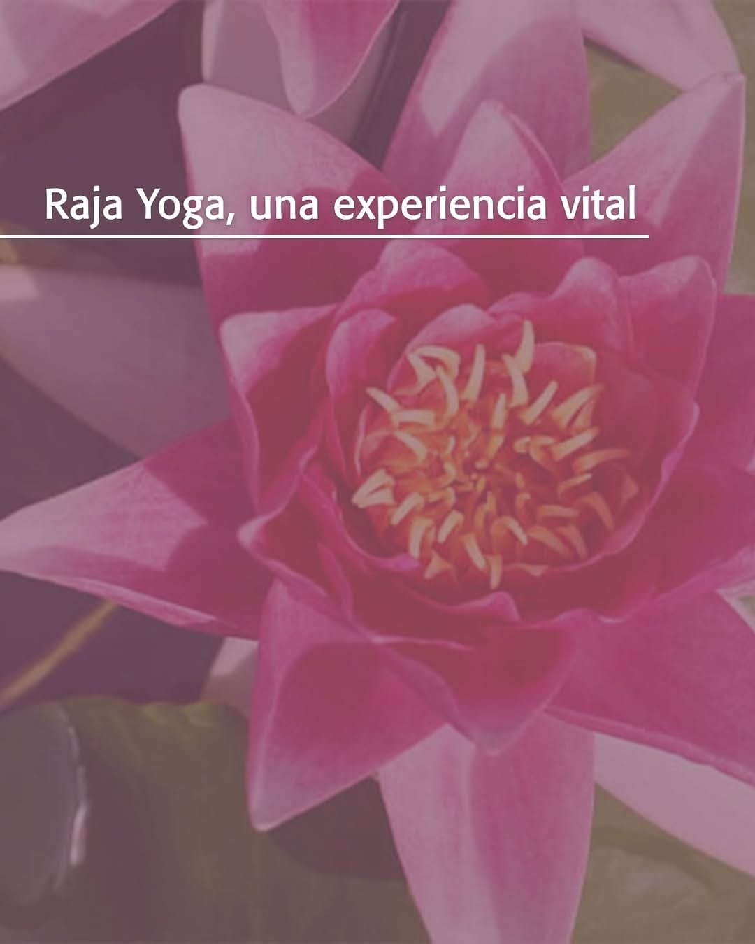Post 10 by ESCUELA INTERNACIONAL DE YOGA on Instagram (image)