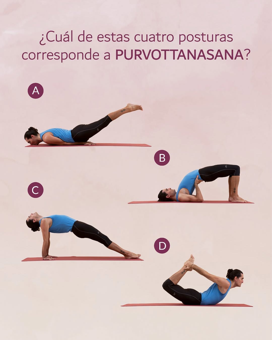 Post 3 by ESCUELA INTERNACIONAL DE YOGA on Instagram (image)
