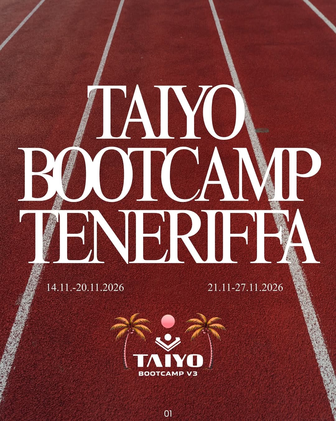 Post 6 by Survive Top Training | South Tenerife on Instagram (carousel)